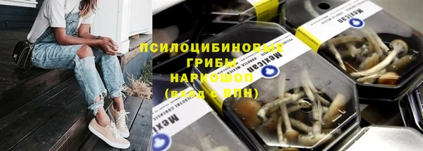 МДПВ Кодинск